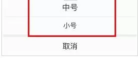在易车网中如何设置字体大小?