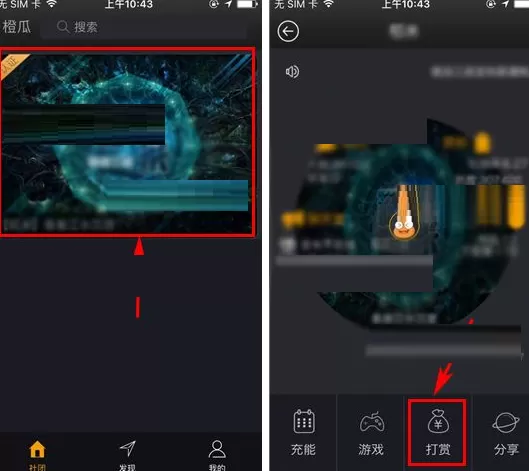 在橙瓜中如何打赏社团?在橙瓜中打赏社团的具体操作