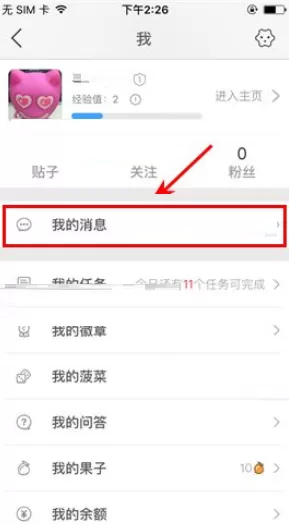 在伐木累中如何置顶聊天消息?
