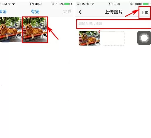 在嬉校区中如何上传照片?在嬉校区中上传照片的具体操作