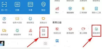 在支付宝中开启行走捐的具体操作介绍