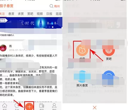 怎么在茄子悬赏中发布求赏?在茄子悬赏中发布求赏发的方法