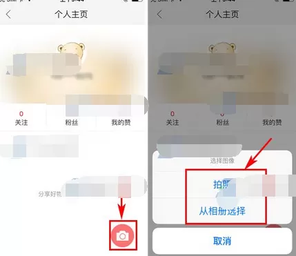 如何在麦乐购中发布麦圈动态?在麦乐购中发布麦圈动态的方法