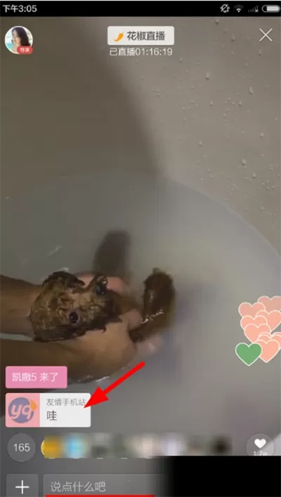 在花椒直播中如何发弹幕?在花椒直播中发弹幕的方法