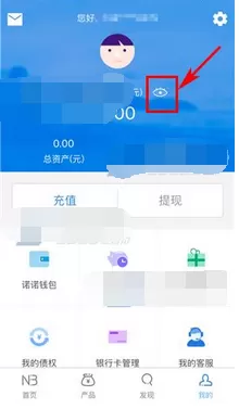 怎么在诺诺镑客中隐藏账户金额?在诺诺镑客中隐藏账户金额的方法