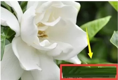 腾讯微博设置图片水印位置的具体步骤