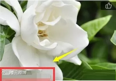 腾讯微博设置图片水印位置的具体步骤