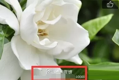 腾讯微博设置图片水印位置的具体步骤