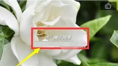 腾讯微博设置图片水印位置的具体步骤