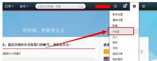 新浪微博更改认证信息的图文教程