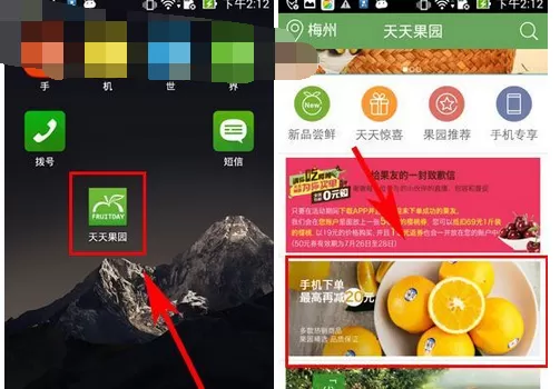 如何在天天果园中查看商品详情？在天天果园中查看商品详情的方法