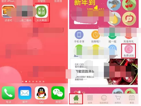 如何在天天果园中申请免费试吃?在天天果园中申请免费试吃的方法