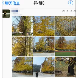 怎么在手机QQ中查看QQ群相册?在手机QQ中查看QQ群相册的方法