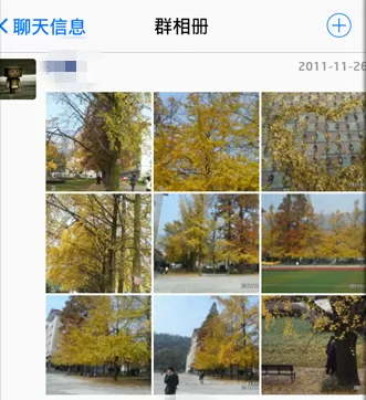 怎么在QQ中查看QQ群相册?在QQ中查看QQ群相册的的具体方法