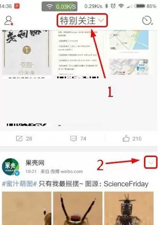 新浪微博手机端如何取消特别关注?