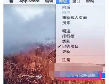 怎么在App Store中隐藏更新?在App Store中隐藏更新的具体方法