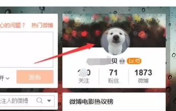 新浪微博如何查看最近访客?新浪微博查看最近访客教程