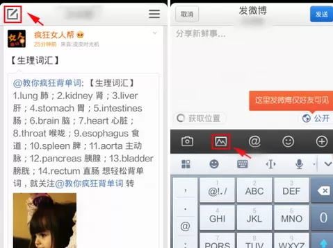 怎么在手机新浪微博中进行多图上传？在手机新浪微博中进行多图上传的方法
