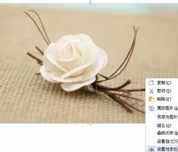 wps如何设置背景图片大小?设置背景图片大小的方法