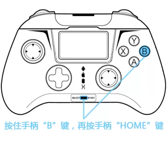 小鸡模拟器如何连接手柄?小鸡模拟器连接手柄的方法