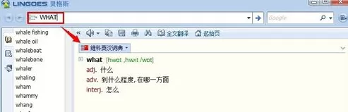 灵格斯如何使用?灵格斯使用的具体操作方法