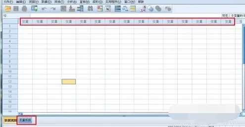 怎么在spss中录入教程?在spss中录入教程的具体方法