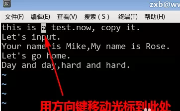 在vim中进行复制和粘贴矩形块的具体操作