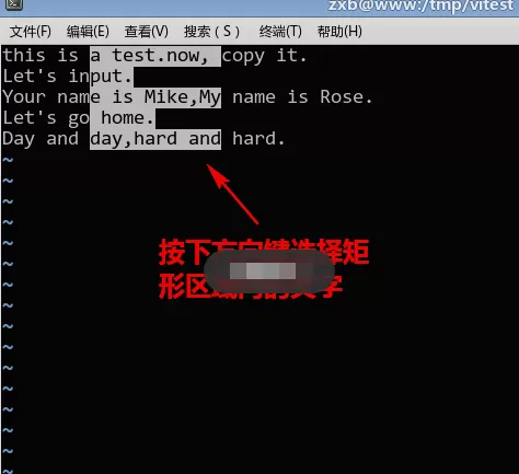 在vim中进行复制和粘贴矩形块的具体操作
