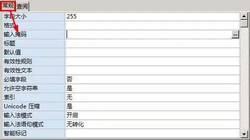 access单元格如何设置输入掩码格式?