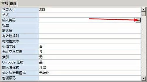 access单元格如何设置输入掩码格式?