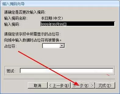access单元格如何设置输入掩码格式?