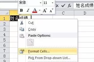 在Excel单元格中怎样用斜线分割填写?
