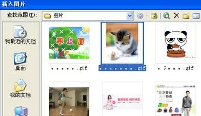 如何在excel中将图片导入表格?excel将图片导入表格的教程