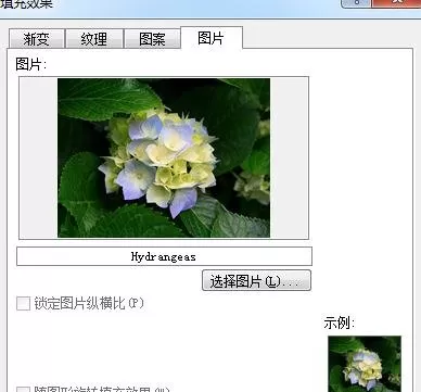 怎么在word2016中将图片设为背景?word2016将图片设为背景的教程