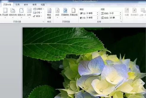 怎么在word2016中将图片设为背景?word2016将图片设为背景的教程