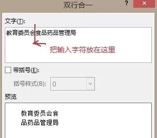 在word2013中使用双行合一功能的具体方法