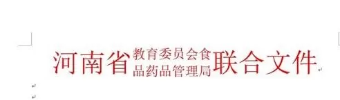 在word2013中使用双行合一功能的具体方法