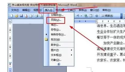 在word2003文档中设置第二页为第一页的具体方法