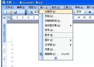 在Word2003中设置从任意页开始显示页码的具体方法