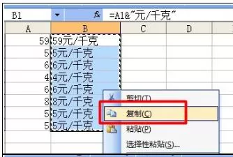 Excel2007中如何批量添加前缀或后缀?