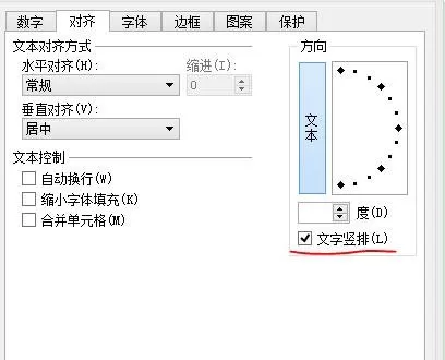 excel2013如何竖着打字?excel2013竖着打字教程