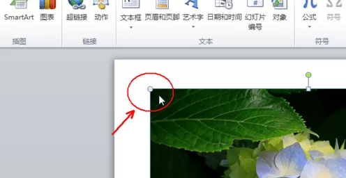 怎么在PPT中使插入的图片布满版面?在PPT中使插入的图片布满版面的教程