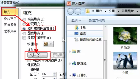 怎么在PPT中使插入的图片布满版面?在PPT中使插入的图片布满版面的教程