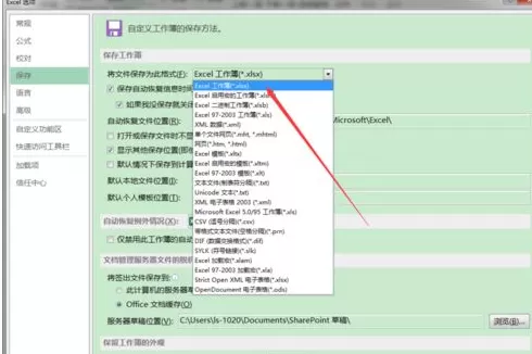 Excel2016怎样修改默认保存类型?修改默认保存类型的方法
