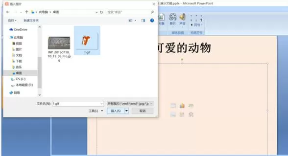 怎么在ppt中加入动态图片?在ppt中加入动态图片的具体方法