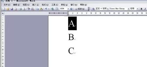 在word文档中如何拖动文字?word文档拖动文字的方法