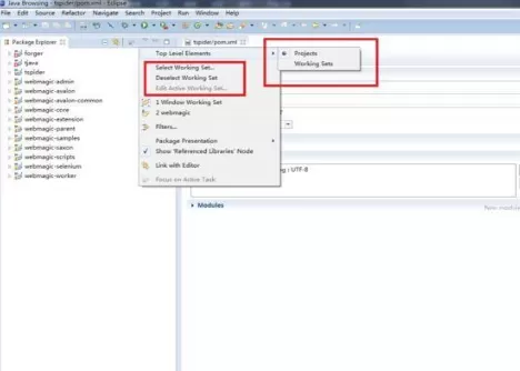 Eclipse中如何使用Working set管理项目?