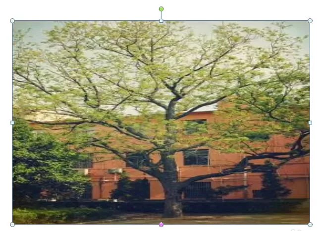 ppt 2010 如何制作大气的图片转场效果?