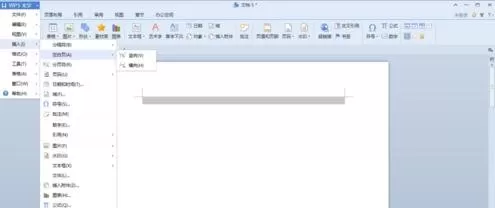 wps文档怎样插入空白页?wps文档插入空白页教程
