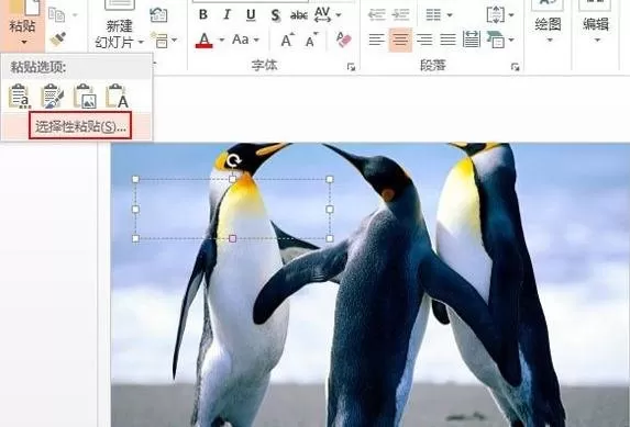 如何在ppt2016中设置文本背景填充效果?ppt2016设置文本背景填充效果的方法